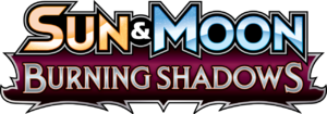 Burning Shadows set
